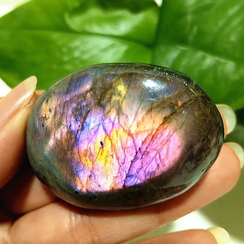 Natural Purple & Yellow Labradorite Crystal Palm Stone – Chakra Healing Gemstone for Meditation & Decor - Image 2